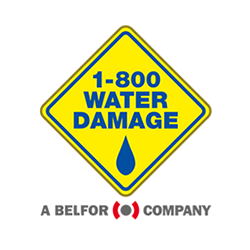 1-800-Water Damage landing page build